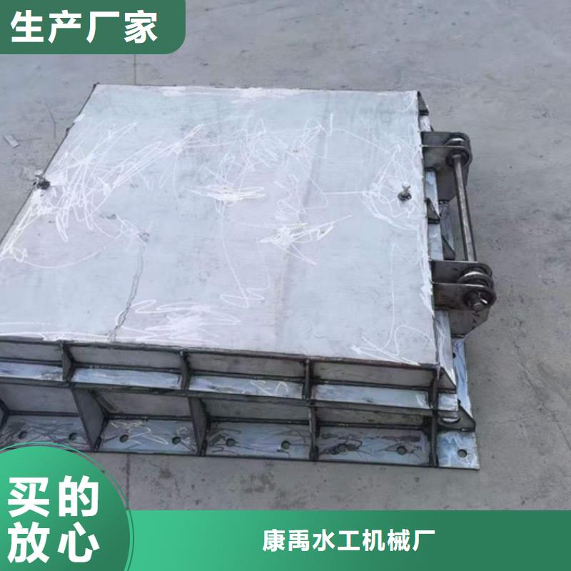 【 钢闸门,钢坝闸门支持定制加工】当地品牌