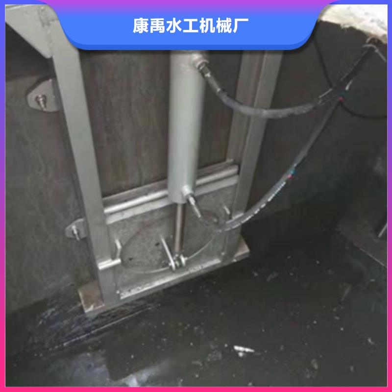 钢闸门品种全