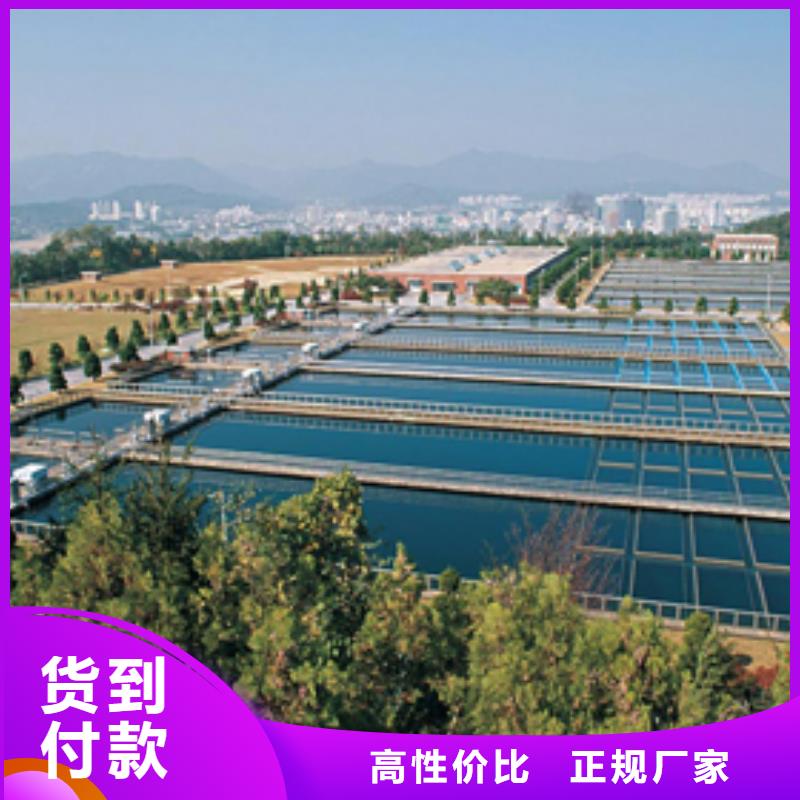 阴离子聚丙烯酰胺-60%乙酸钠N年专注