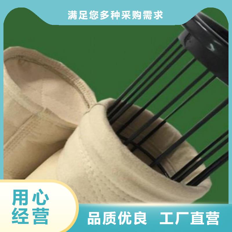 除尘布袋脉冲除尘器多年实力厂家