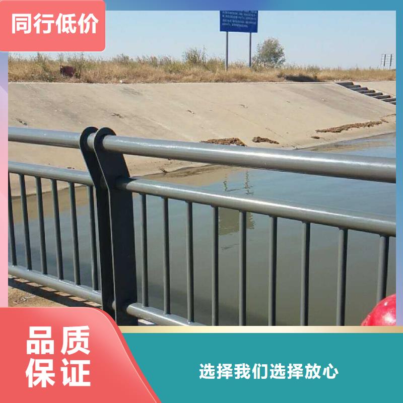 防撞护栏城市景观防护栏实拍展现