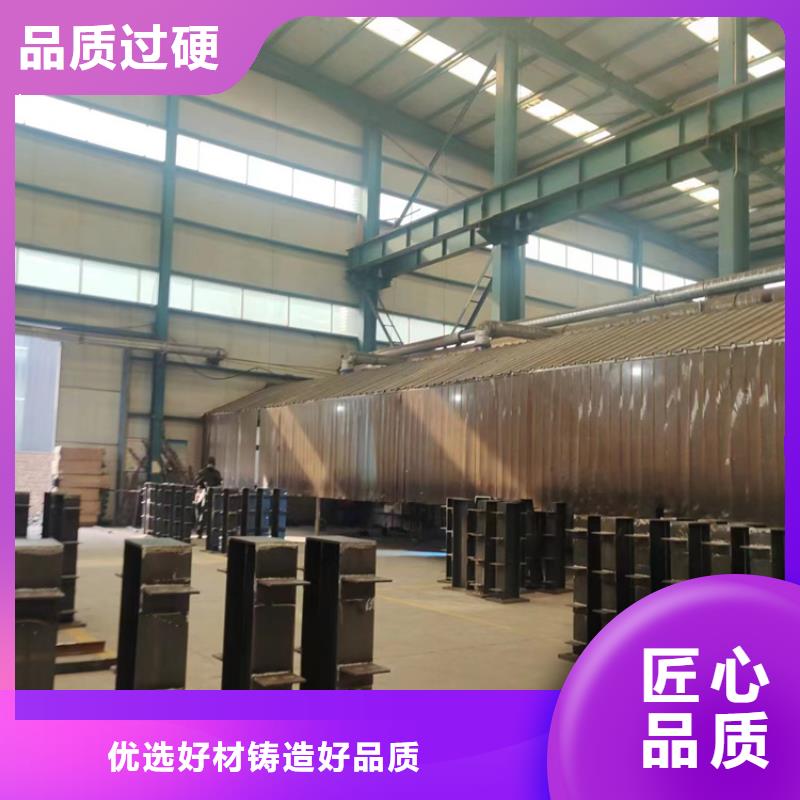 防撞护栏桥梁钢护栏N年专注