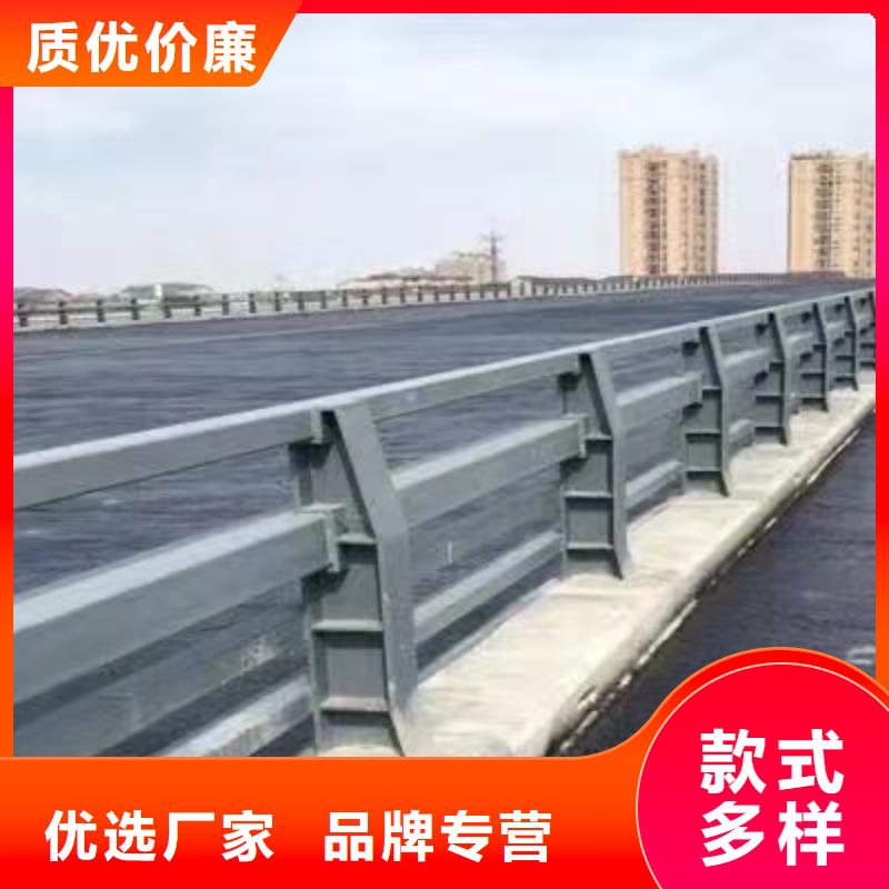 钢丝绳护栏-灯光护栏厂家真材实料