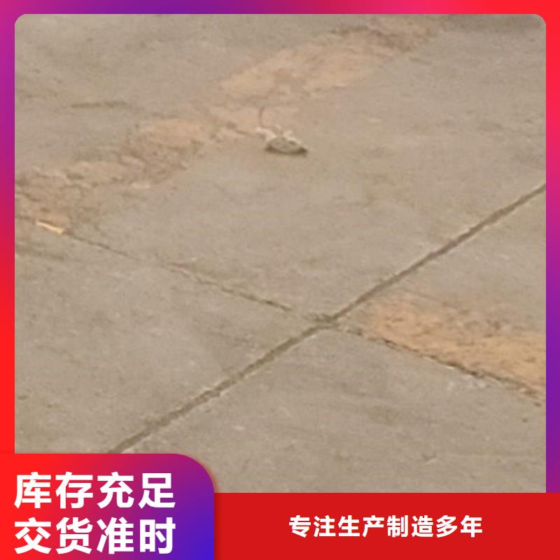正规道路景观护栏厂家
