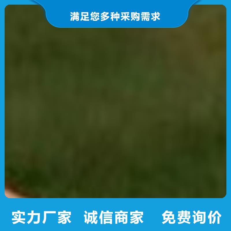 防撞桥梁护栏行业经验丰富