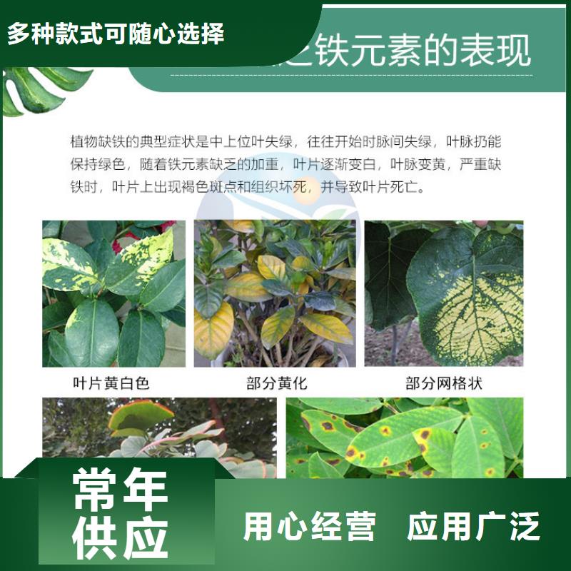 质量可靠的硫酸亚铁的用法与用量经销商