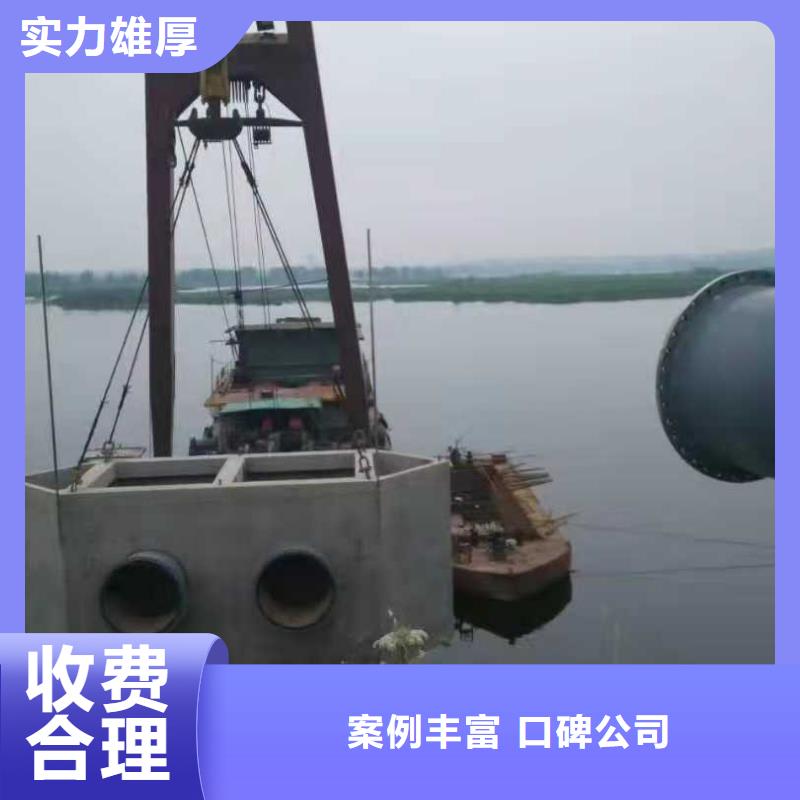 信誉良好沉管水下录像多年经验