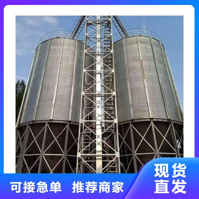 2025品质过硬#大型粮食存储设备厂家#解决方案