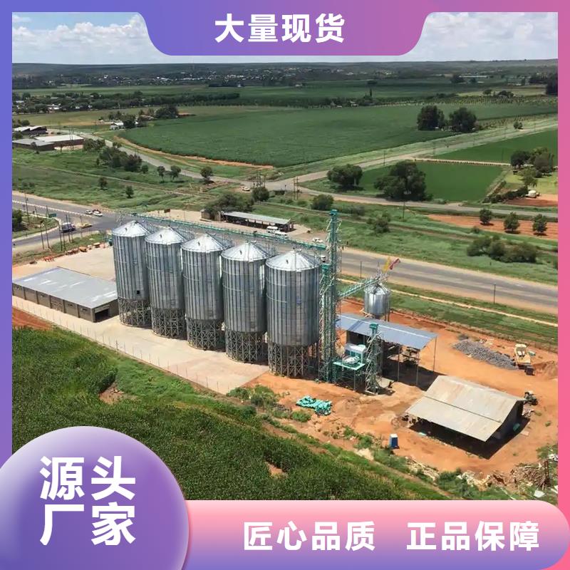 定制1000吨粮食仓_精选厂家