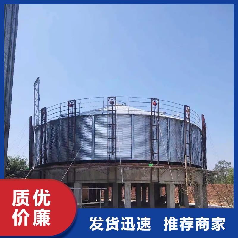 装配式粮仓钢板仓存储仓-实力大厂