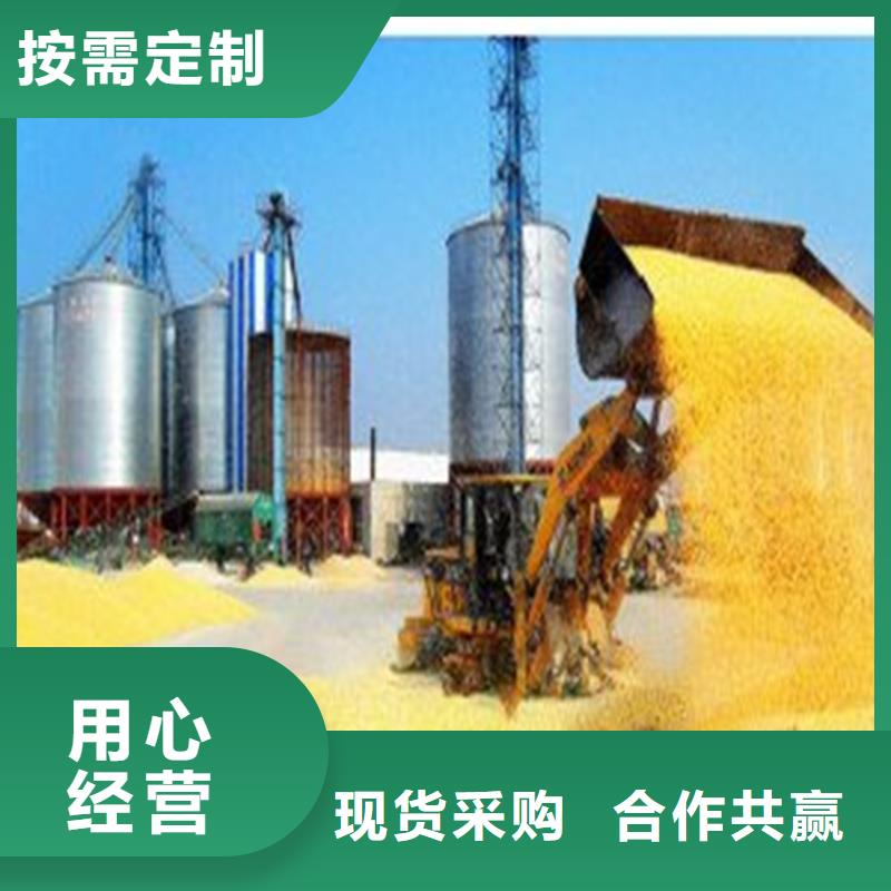 性价比高的大型粮食存储设备