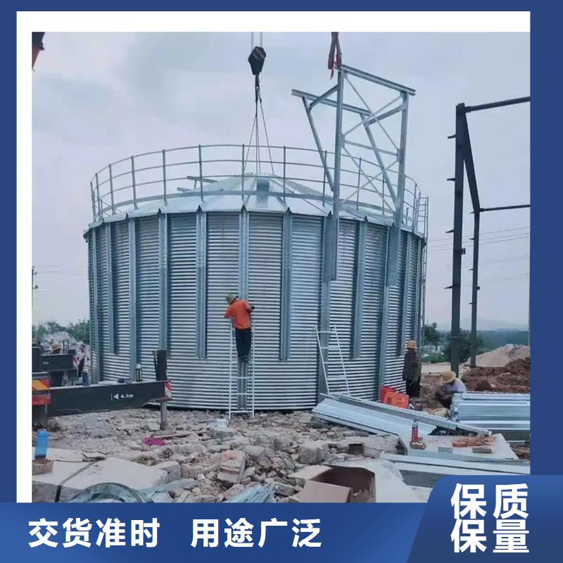 玉米豆类装配式钢板仓_支持定制