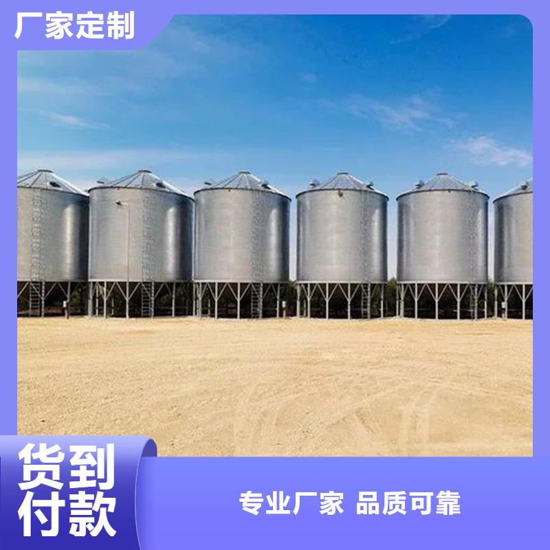 生产粮食储存仓_精选厂家