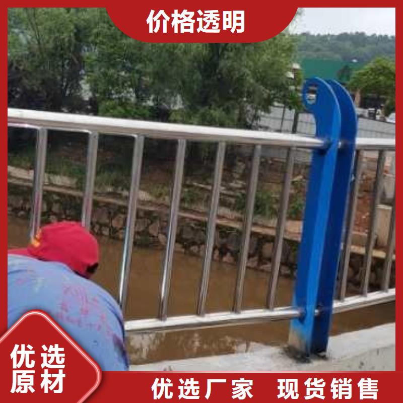 河道护栏实拍展现