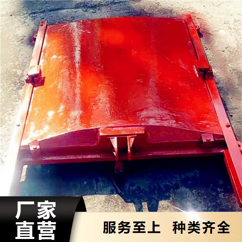 铸铁闸门-钢坝闸门支持批发零售