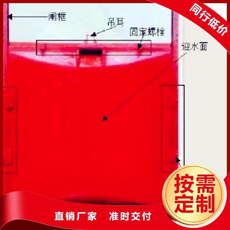 铸铁闸门-钢坝闸门支持批发零售