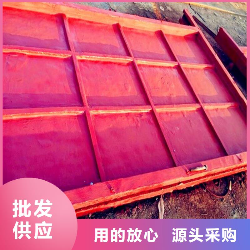 铸铁闸门-球墨铸铁闸门厂家保障产品质量