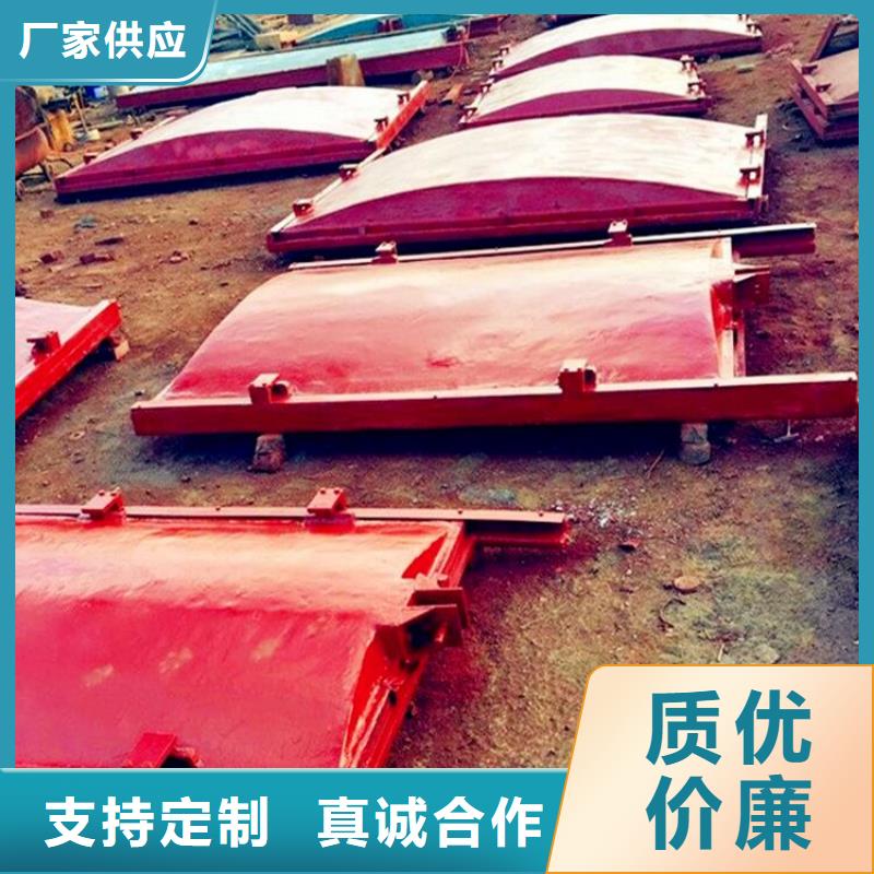 |民勤|古浪|甘南|定西|平凉|金昌|临夏|兰州|天水清污机【铸铁闸门,机闸一体式闸门精工细作品质优良】
