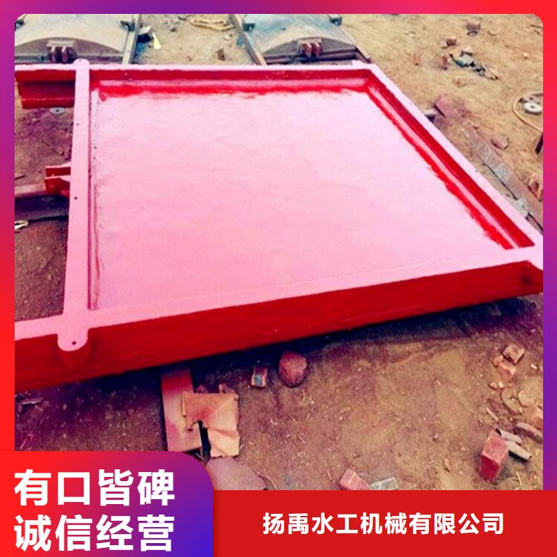 铸铁闸门钢制闸门N年大品牌