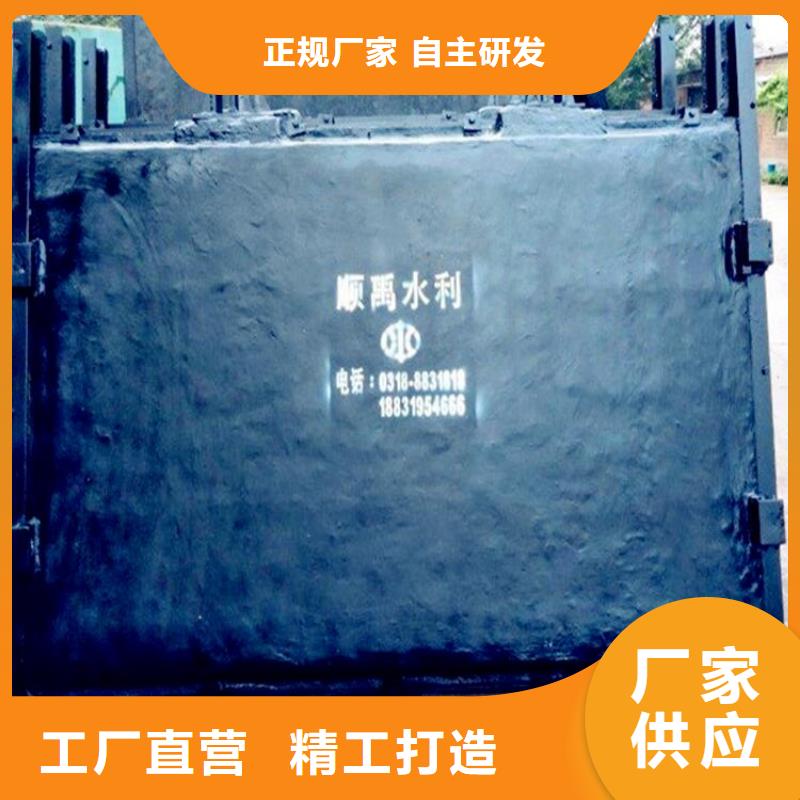 铸铁闸门【不锈钢闸门】丰富的行业经验