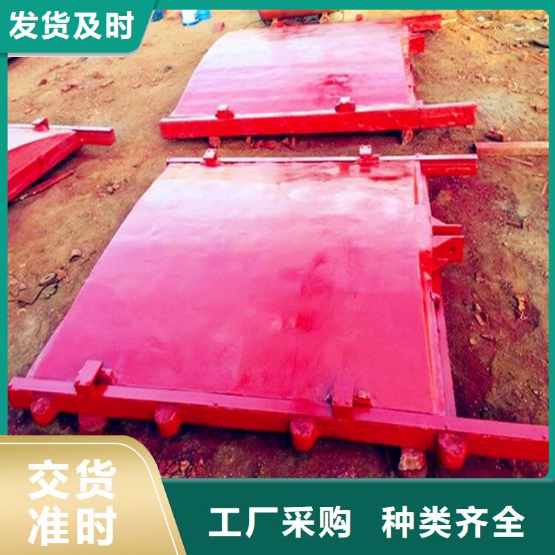 铸铁闸门,电动装置启闭机用心制作