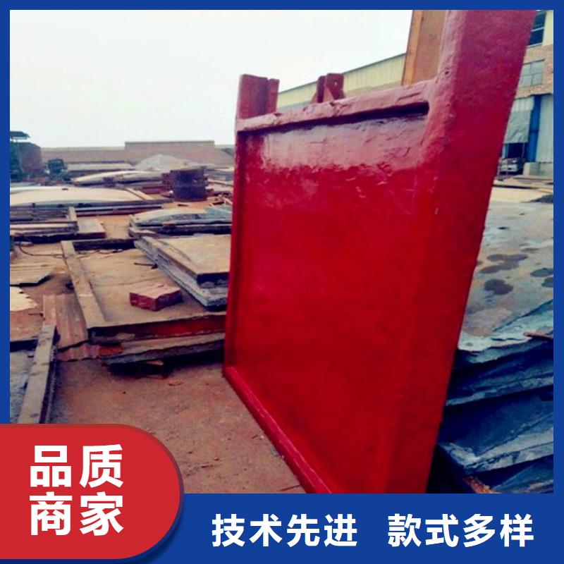 铸铁闸门_回转式清污机厂家直接面向客户
