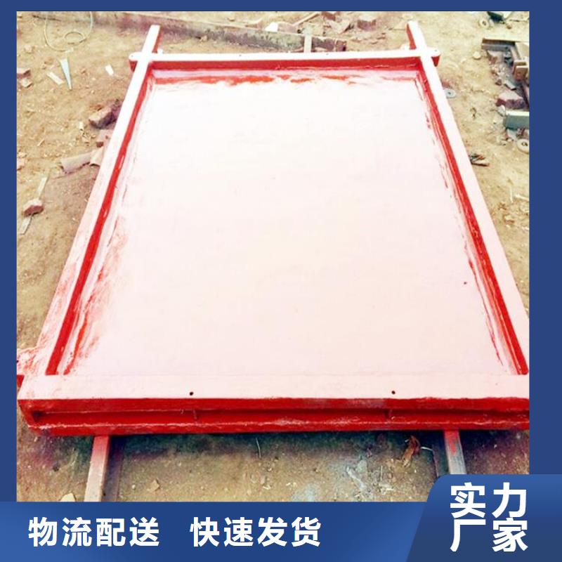 铸铁闸门,【齿耙式清污机】价格地道-可发货到红古|七里河|平凉|嘉峪关|甘南|武威|庆阳|天水|张掖