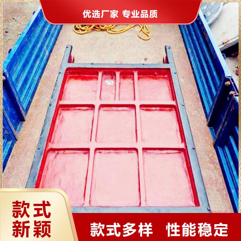 【铸铁闸门】 卷扬启闭机快速发货