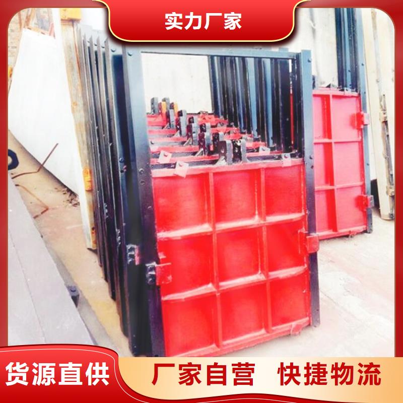 |民勤|古浪|甘南|定西|平凉|金昌|临夏|兰州|天水清污机【铸铁闸门,机闸一体式闸门精工细作品质优良】