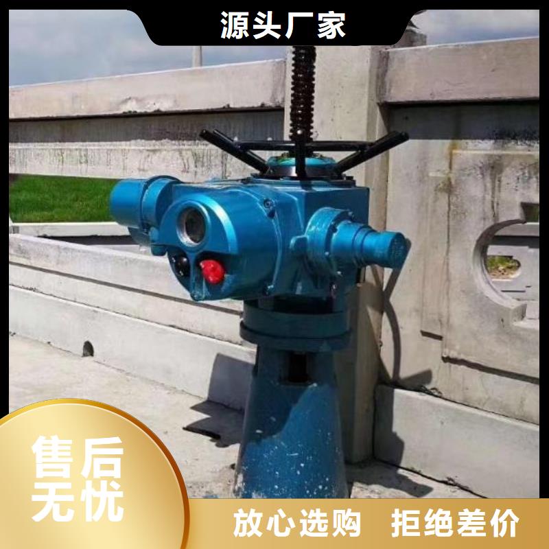 螺杆启闭机【卷扬启闭机厂家】品牌专营