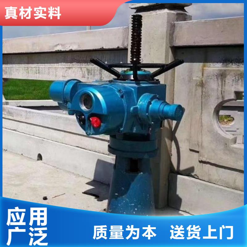  螺杆启闭机厂家经验丰富