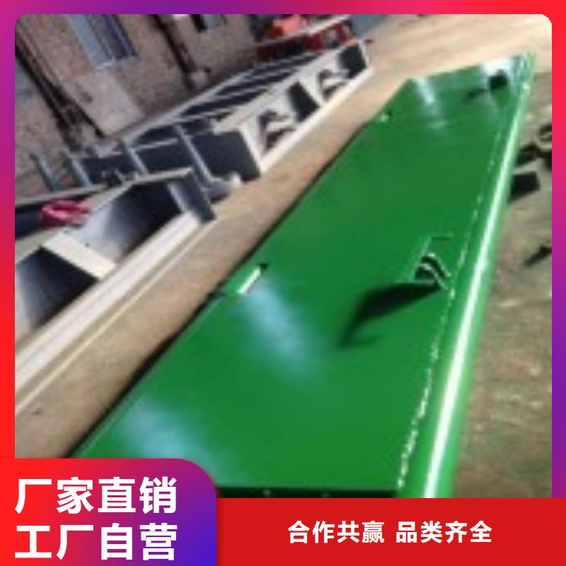 翻板闸门抓斗清污机实力厂商