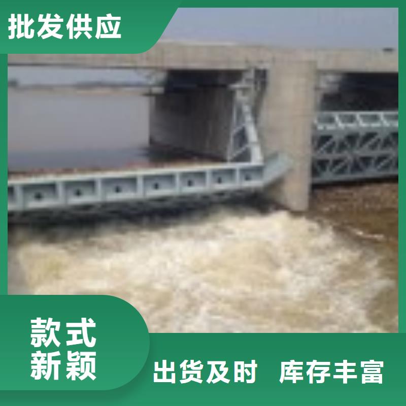 翻板闸门原厂制造