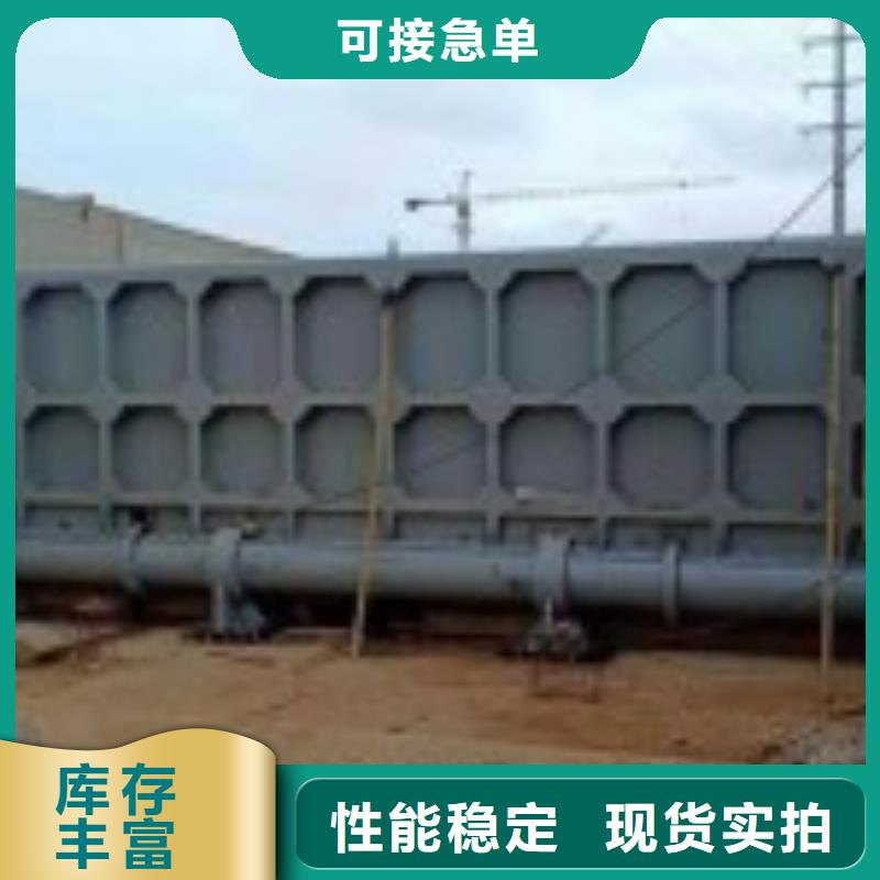  翻板闸门实体厂家支持定制