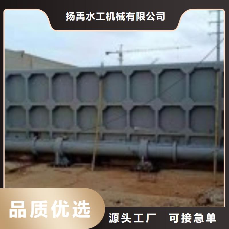 翻板闸门-拦污栅产地厂家直销