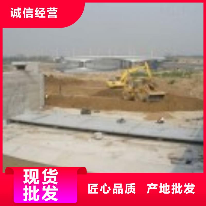 【翻板闸门_钢制闸门实体诚信经营】