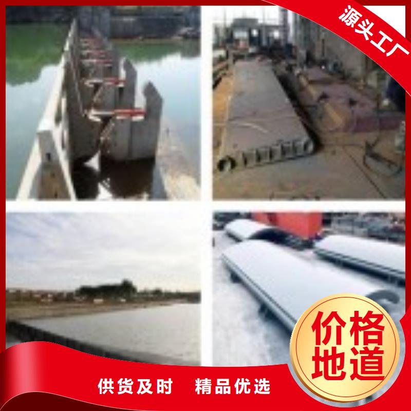 【翻板闸门 拍门经销商】