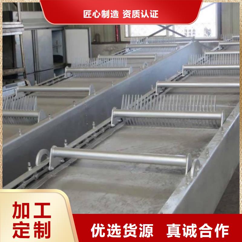 清污机,铸铁闸门品质之选
