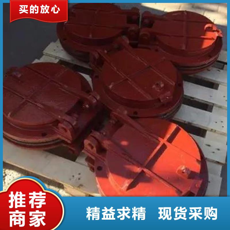 拍门 拦污栅自主研发