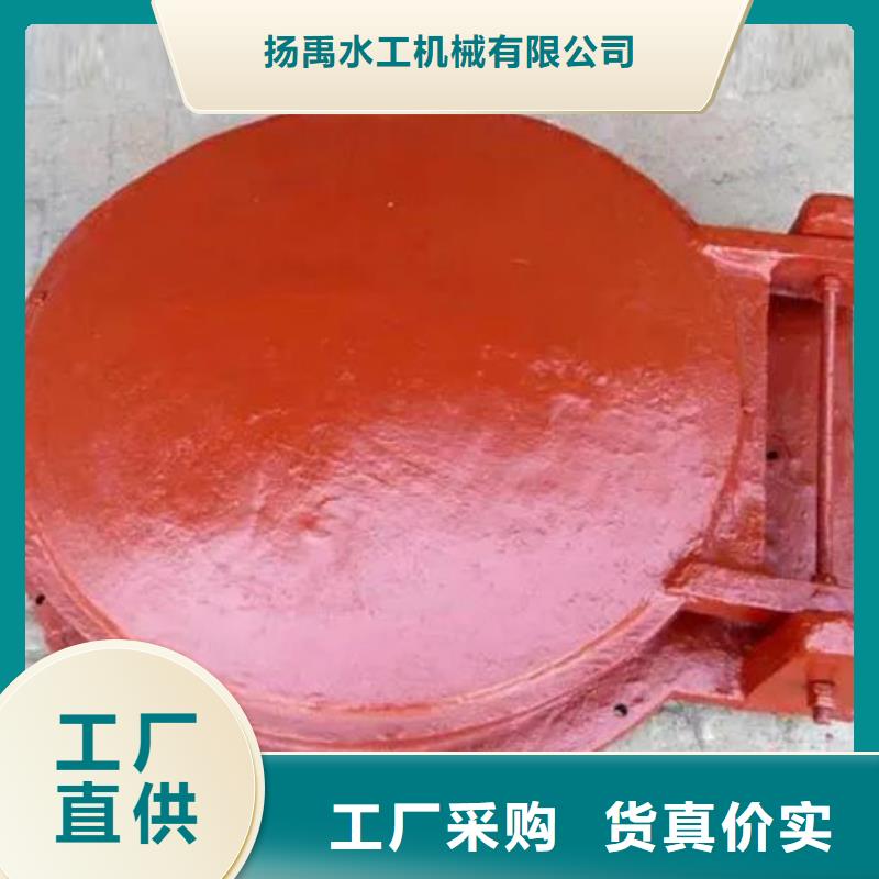 拍门卷扬启闭机厂家产地直供