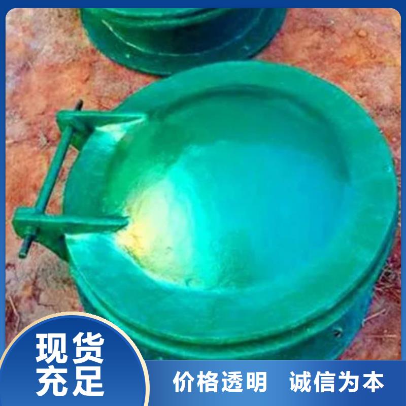 拍门双向止水闸门快速发货