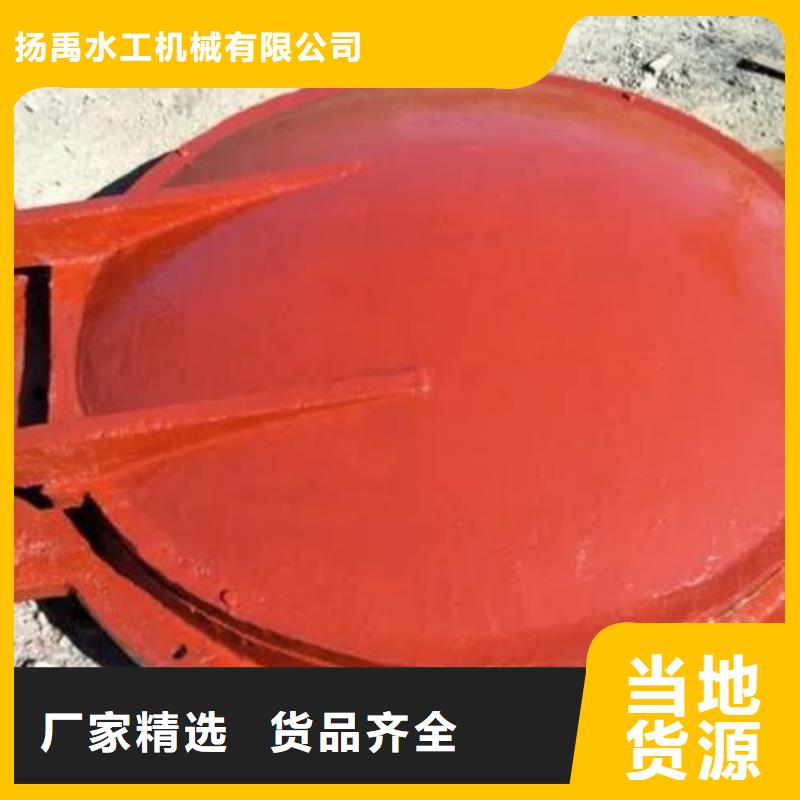 拍门品质优良