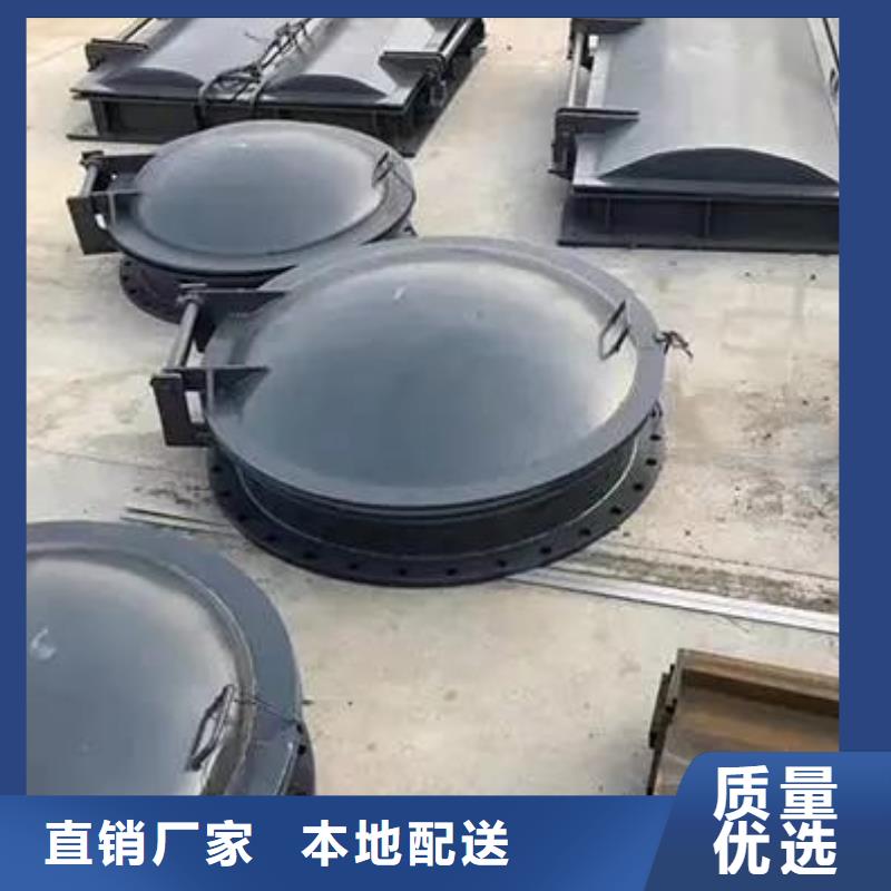 拍门球墨铸铁闸门按需定做
