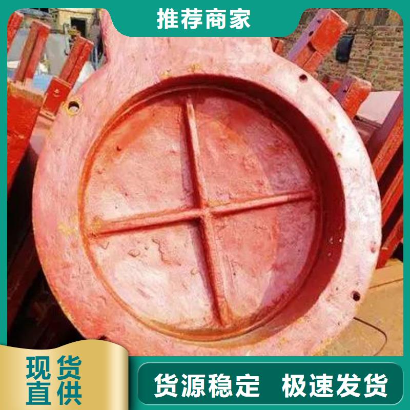 拍门-液压启闭机自主研发