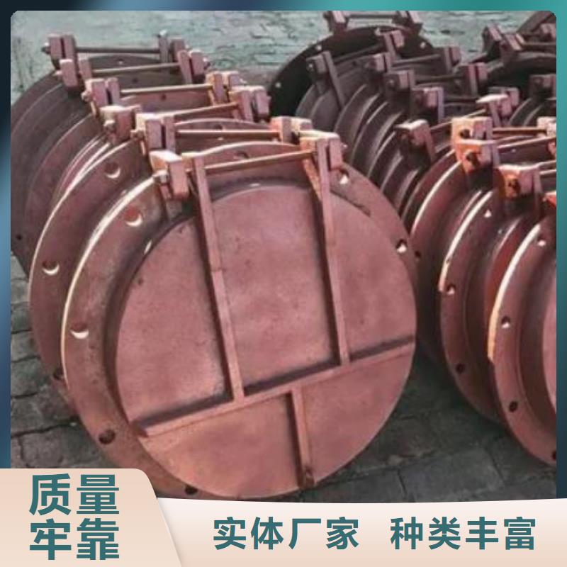 【拍门钢制拍门工厂现货供应】