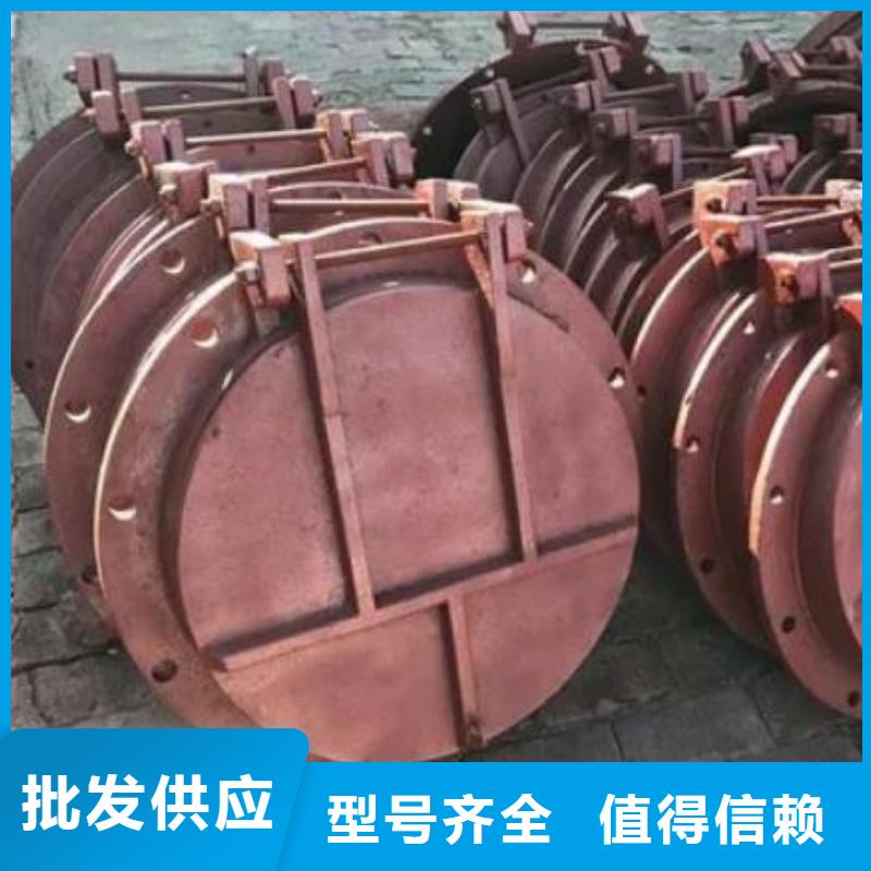 【拍门_铸铁闸门实力厂家】