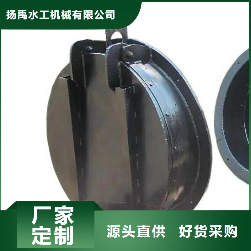 拍门【球墨铸铁闸门】专业的生产厂家