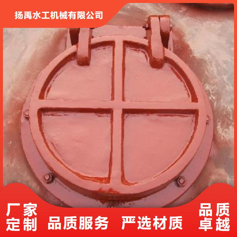 拍门钢制拍门卓越品质保障