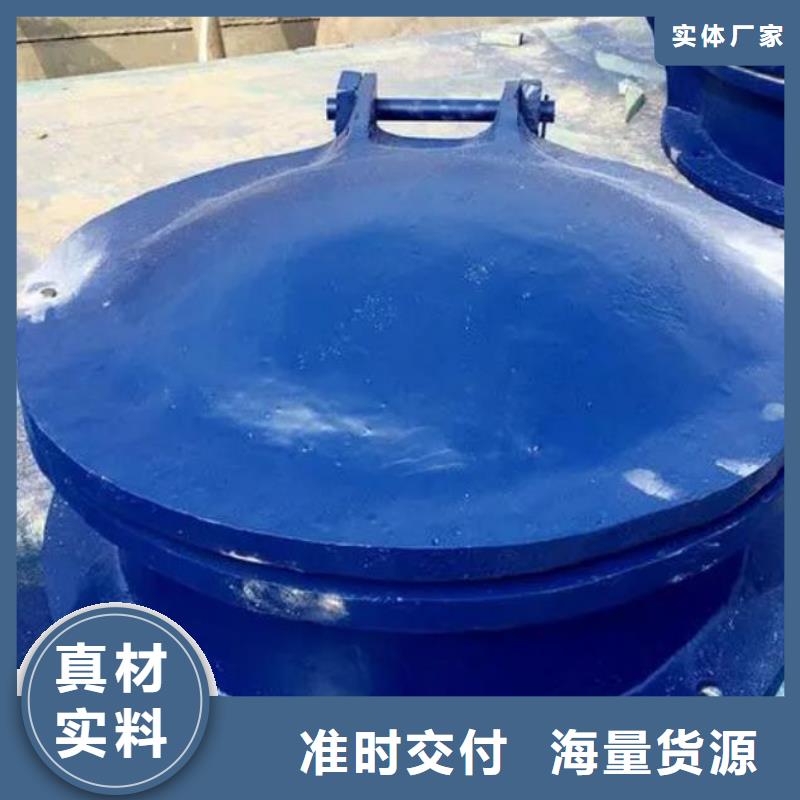 拍门 铸铁闸门精工制作