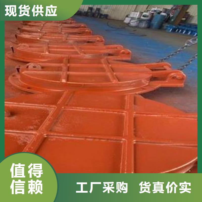 拍门球墨铸铁闸门多种工艺